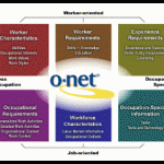 onet-model onet-model